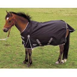 RHINE GOLD KONIG FOAL RUG BLACK