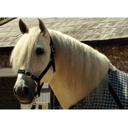 Rhine Gold Nylon Head Collar Full