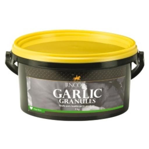 Lincoln Garlic Graduals