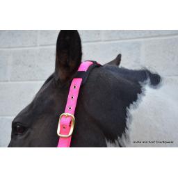 hy-deluxe-padded-head-collar-[3]-59164-p.jpg