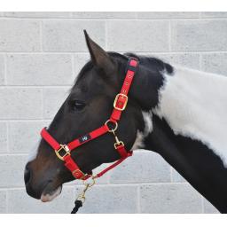 922-2116---Hy--Deluxe-Padded-Head-Collar.jpg