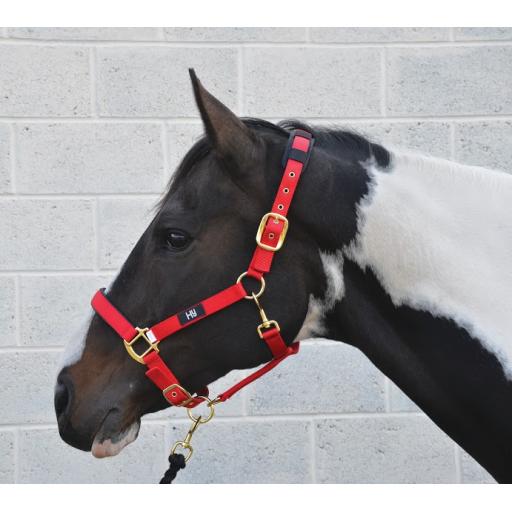 922-2116---Hy--Deluxe-Padded-Head-Collar.jpg