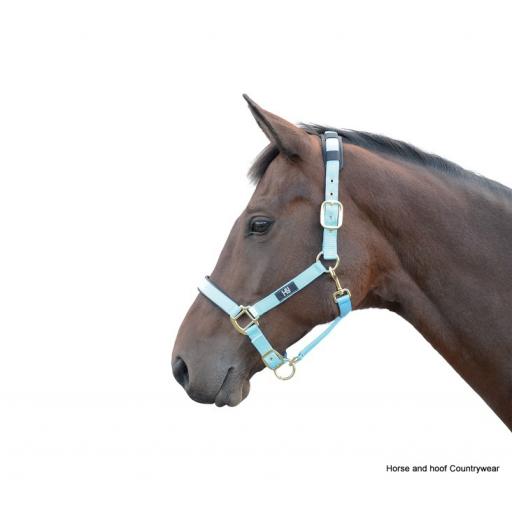 hy-deluxe-padded-head-collar-[2]-59164-p.jpg