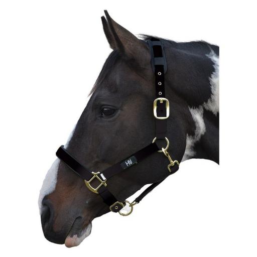 PR-2929_PR-2929-Hy--Deluxe-Padded-Head-Collar-06_5(2).jpg