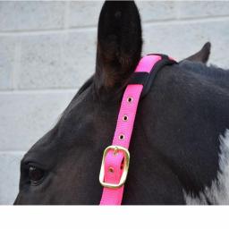 hy-deluxe-padded-head-collar-[3]-59164-p.jpg