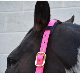 hy-deluxe-padded-head-collar-[3]-59164-p.jpg