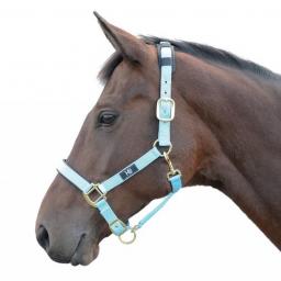 hy-deluxe-padded-head-collar-[2]-59164-p.jpg