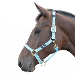 hy-deluxe-padded-head-collar-[2]-59164-p.jpg