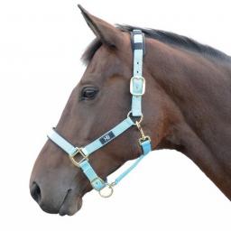 hy-deluxe-padded-head-collar-[2]-59164-p.jpg