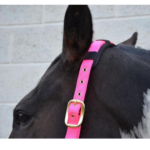 hy-deluxe-padded-head-collar-[3]-59164-p.jpg