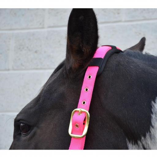 hy-deluxe-padded-head-collar-[3]-59164-p.jpg