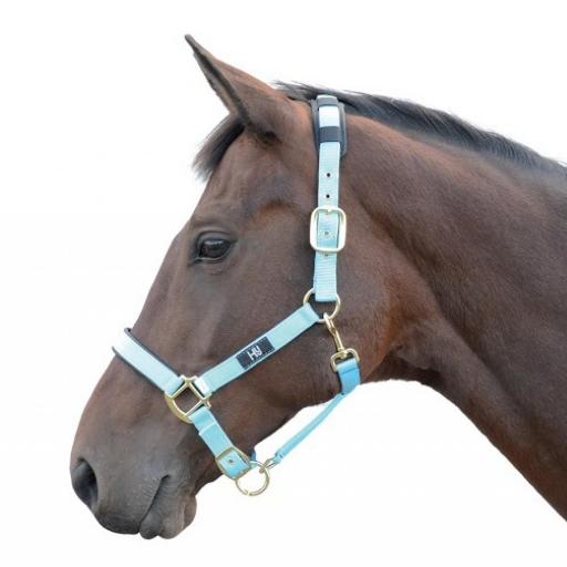 hy-deluxe-padded-head-collar-[2]-59164-p.jpg