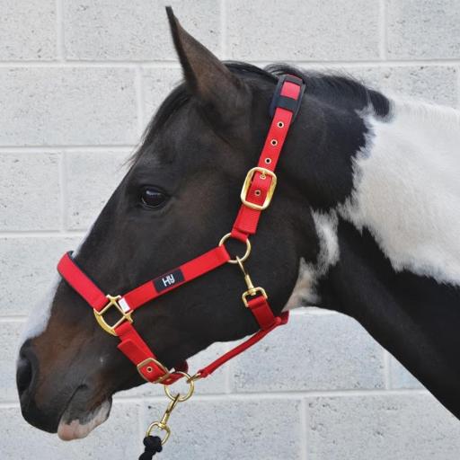 922-2116---Hy--Deluxe-Padded-Head-Collar.jpg