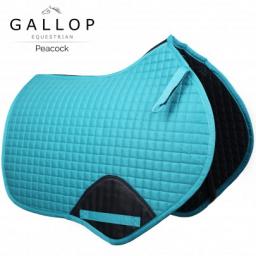 gallop peacock_1.jpg