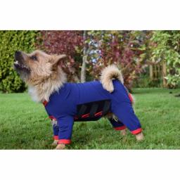 Belvoir_Dog_onesie_Navy.png