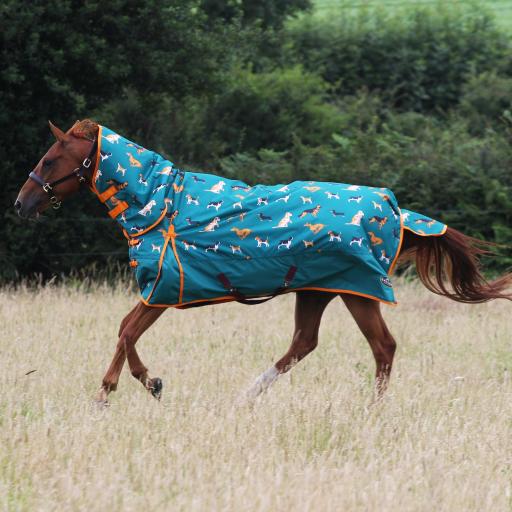 Gallop Dogs Print 200g Combo Turnout Rug