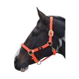 PR-2962-Hy-Grand-Prix-Head-Collar-03.jpg