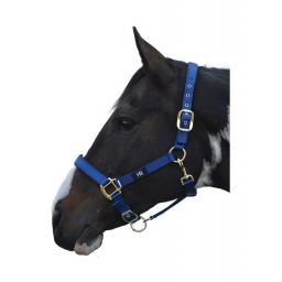 PR-2962-Hy-Grand-Prix-Head-Collar-04.jpg