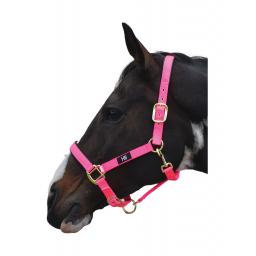 PR-2962-Hy-Grand-Prix-Head-Collar-02.jpg