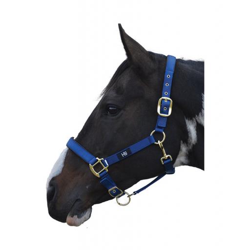 PR-2962-Hy-Grand-Prix-Head-Collar-04.jpg