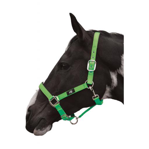 PR-2962-Hy-Grand-Prix-Head-Collar-01.jpg