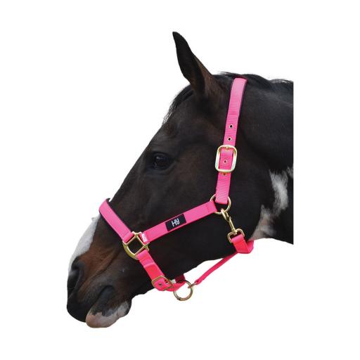 PR-2962-Hy-Grand-Prix-Head-Collar-02.jpg