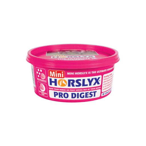 PR-25102-Horslyx-Pro-Digest-Balancer-01.jpg