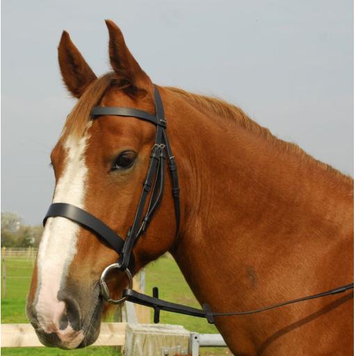 Heritage hunter Bridle Havana