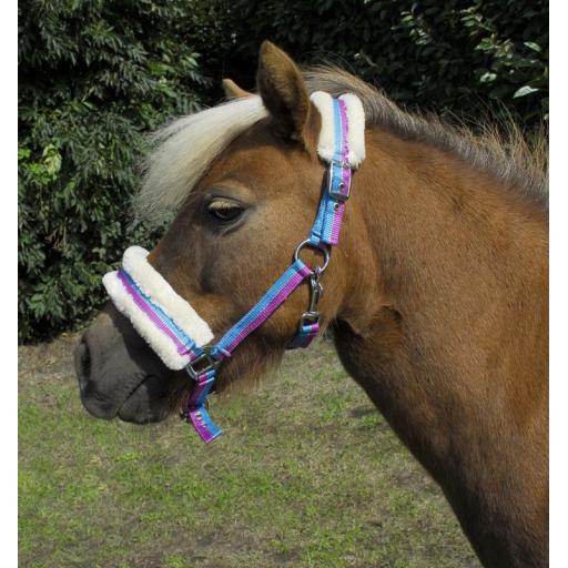 Rhinegold Bright Striped Fur Trim Small Pony Headcollar