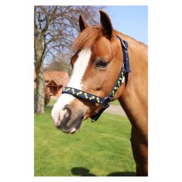 PR-32057-Lancelot-Head-Collar-and-Lead-Rope-by-Little-Knight-02.jpg