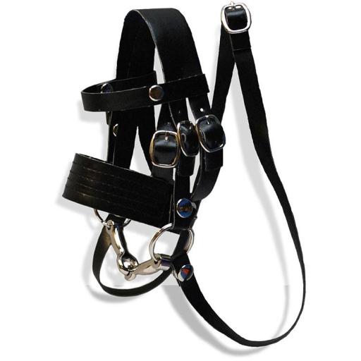 Crafty Ponies bridle