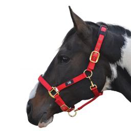 2116-Hy-Deluxe-Padded-Head-Collar-01.jpg