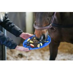 43061-Lickit-Graze-Maze-Blue-05.jpg