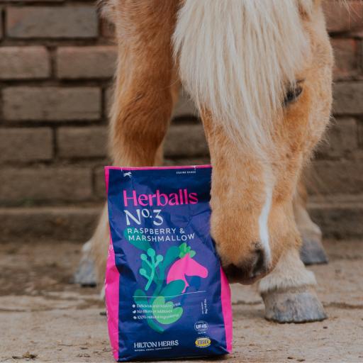 No.3_Herballs_14_1160x_crop_center.png