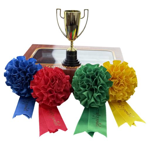 Crafty Ponies Trophy and Rossett set