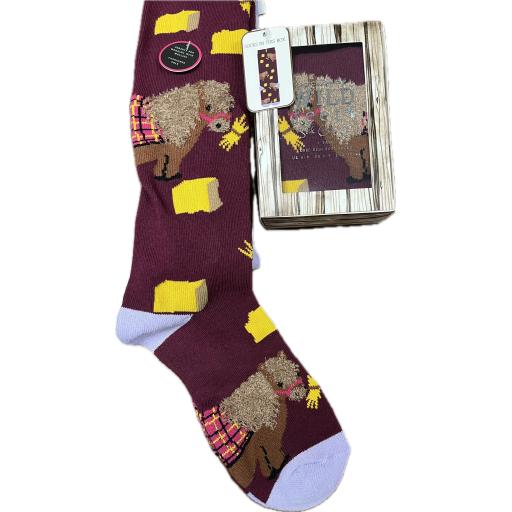 Wild Feet Ladies Socks in a Gift Box - Pony